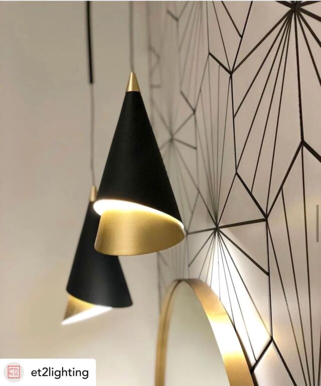 What does this pendant remind you of?⁣
⁣
Light: Mermaid Pendant by @et2lighting 
.
.
.
.
.
#distinctivelighting #lighting #lightingstore #lightingdesign #lightingshowrooms #lightingfixtures #lightingideas #home #homerenovation #homestyling #homeinspo #homedecor #homedesign #homeinterior #instahome #interiorstyling #design #decor #decortips #interiordecorating #interiordesign #hgtv #designtips #hometips #showroom #stcatharines #niagarafalls #fonthill 
.
.
.
Posted @withregram