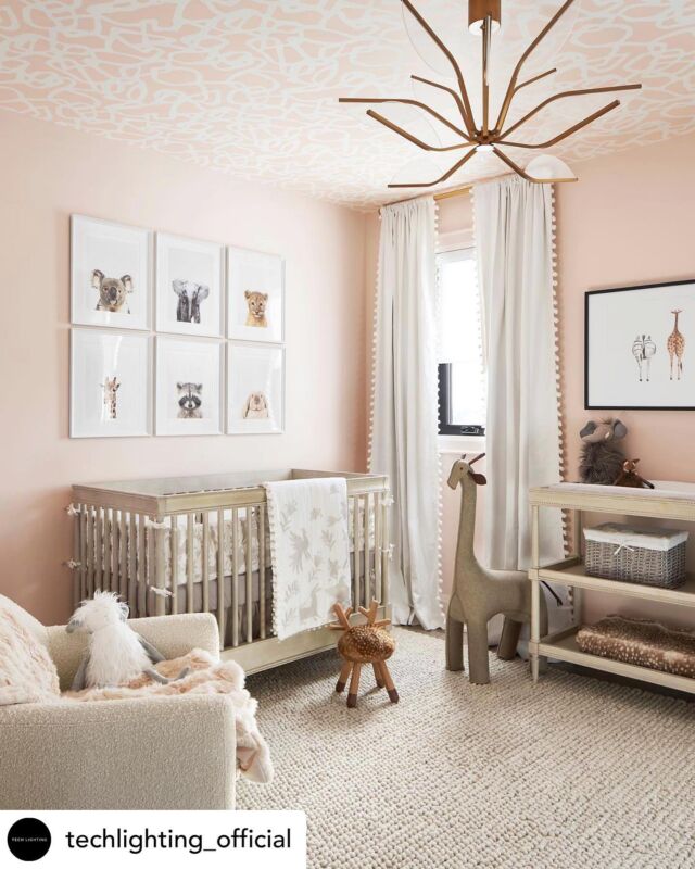 Resembling a lotus flower, the @techlighting_official Belterra Chandelier by Sean Lavin hangs elegantly in this adorable nursery designed by @avenuedesigninc 🐨🐘🐯🦒🦝🐰.

📸 by @kellyhorkoff 
🛠 by @kenmore_homes 

.
.

#distinctivelighting #lighting #lightingstore #lightingdesign #lightingshowrooms #lightingfixtures #lightingideas #home #homerenovation #homestyling #homeinspo #homedecor #homedesign #homeinterior #instahome #interiorstyling #design #decor #decortips #interiordecorating #interiordesign #hgtv #designtips #hometips #showroom #stcatharines #niagarafalls #fonthill 

.
.
.
Posted @withregram